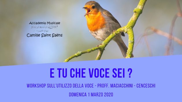 che voce sei